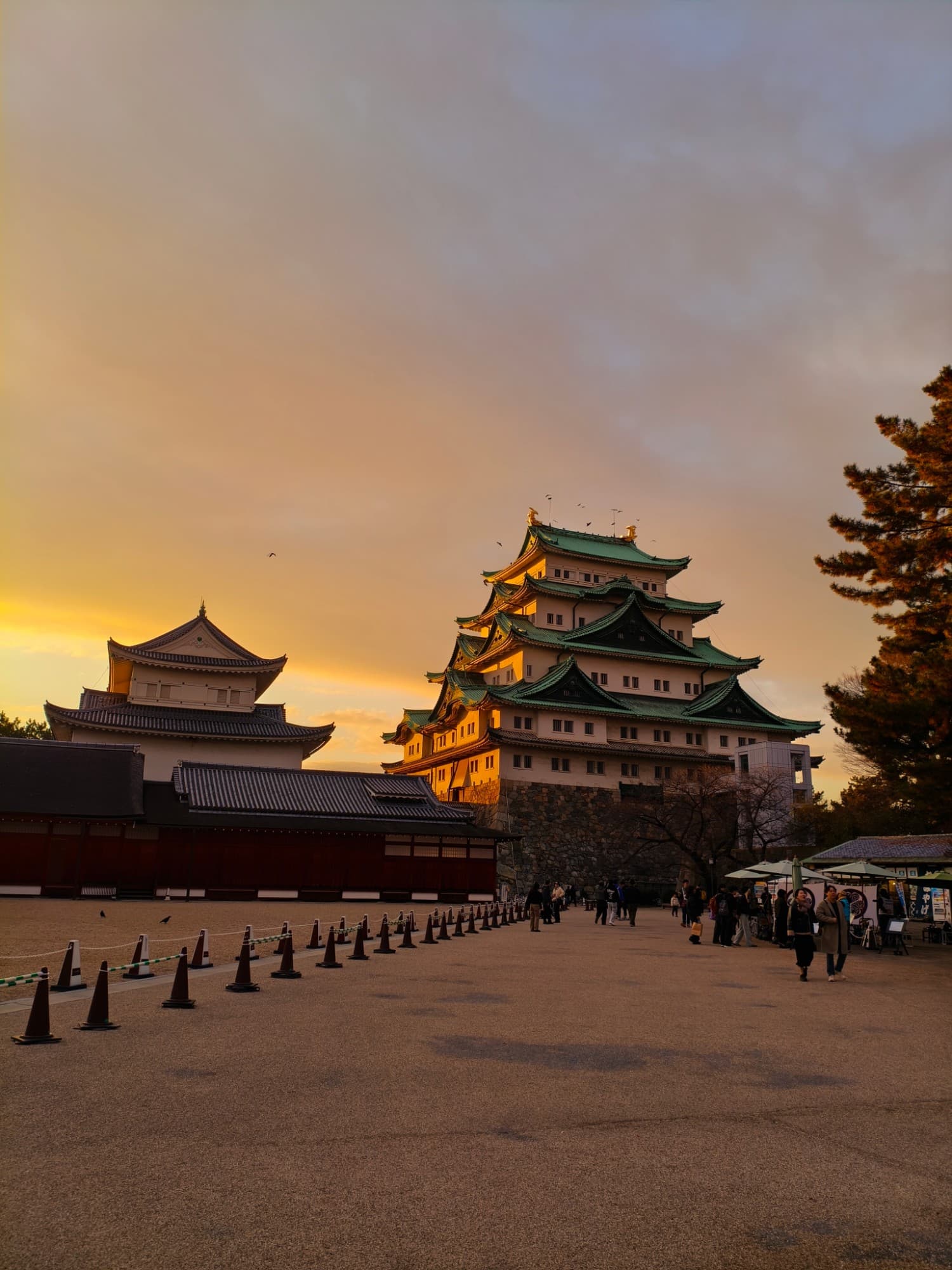 Nagoya Castle, just before sunset