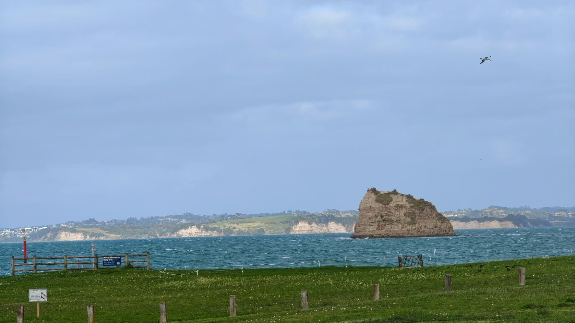 A very windy afternoon