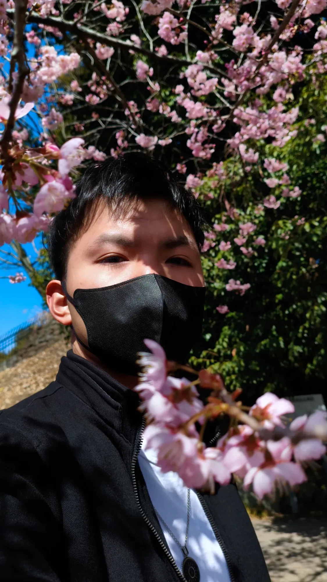 Me under a cherry blossom tree